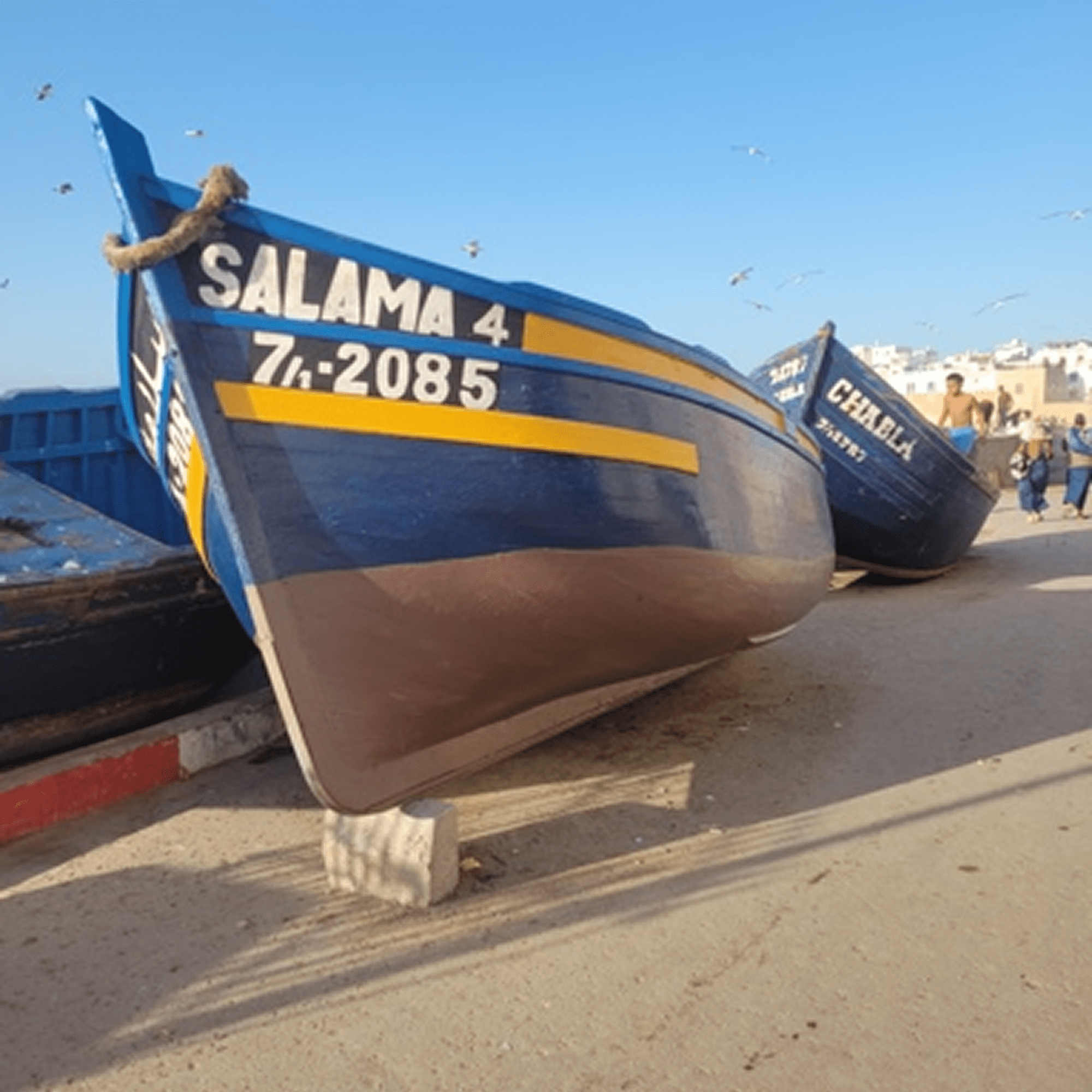 Blue fishing boats on sandy shore